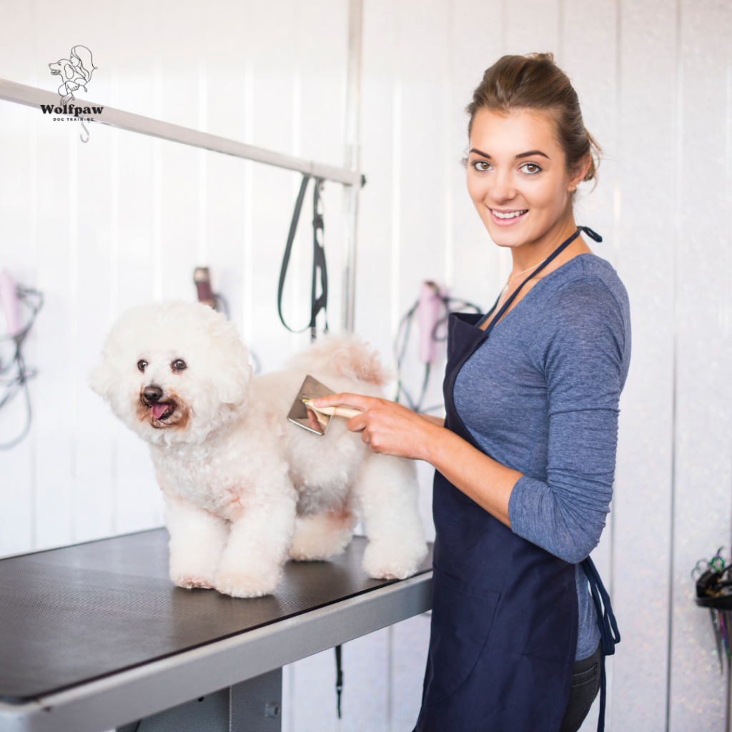 Groomer For Dog